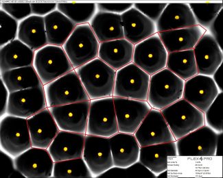 Hybride Rasterung im Flexodruck: Punktflächenanalyse bis nahe 0 % möglich