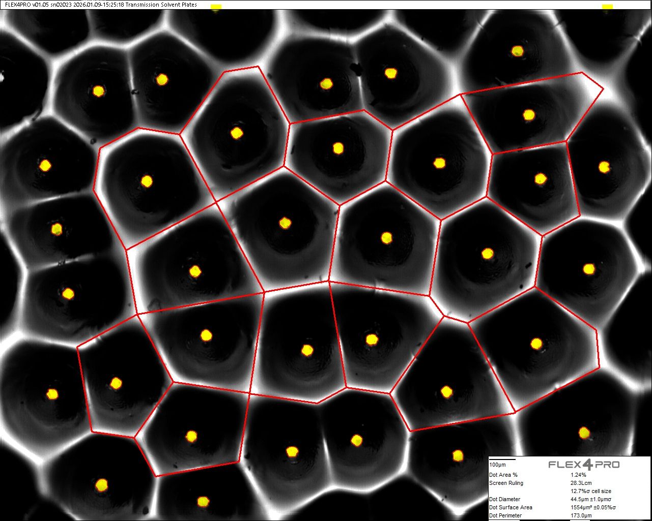 Hybride Rasterung im Flexodruck: Punktflächenanalyse bis nahe 0 % möglich