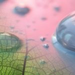 Neue Konferenzreihe Inno-Fiber rückt faserbasierte Verpackungen in den Fokus